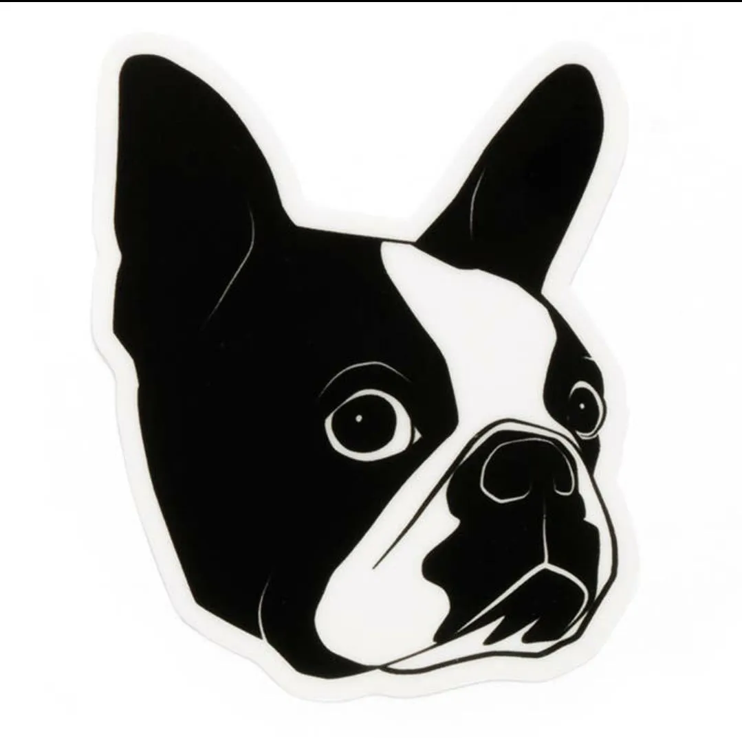 Boston Terrier Sticker (Smarty Pants Paper)