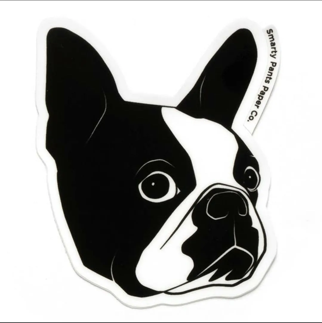 Boston Terrier Sticker (Smarty Pants Paper)