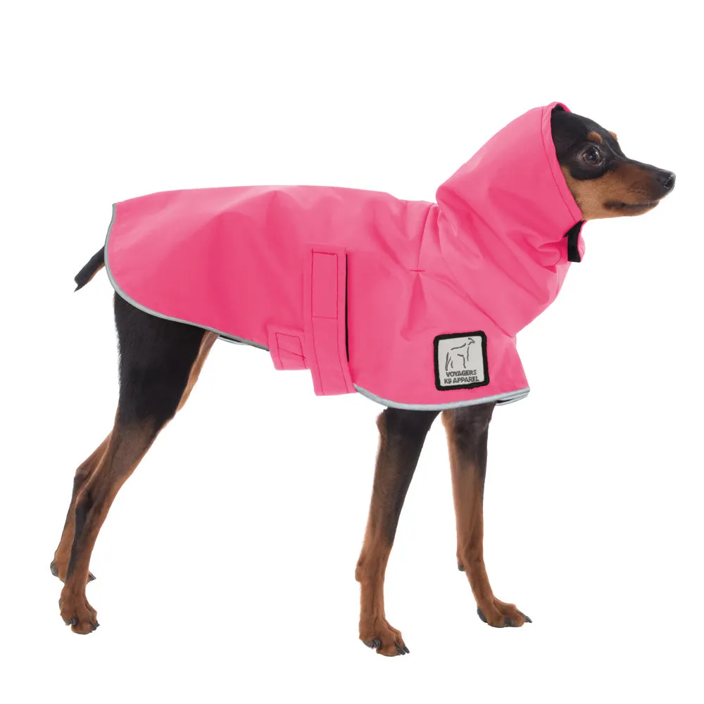 ReCoat ♻️ Miniature Pinscher Raincoat