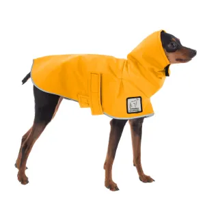 ReCoat ♻️ Miniature Pinscher Raincoat