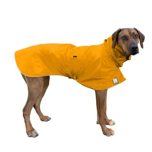 ReCoat ♻️ Rhodesian Ridgeback Raincoat